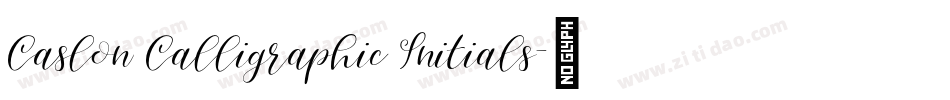 Caslon Calligraphic Initials字体转换